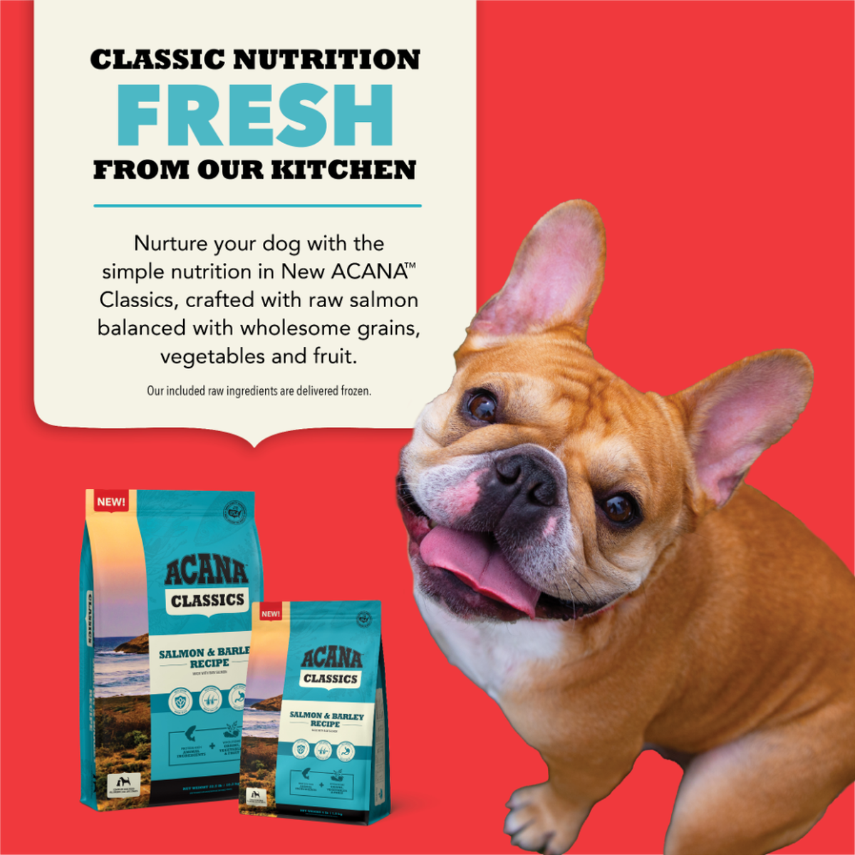 Salmon and Barley Dry Dog Food Recipe ACANA USA